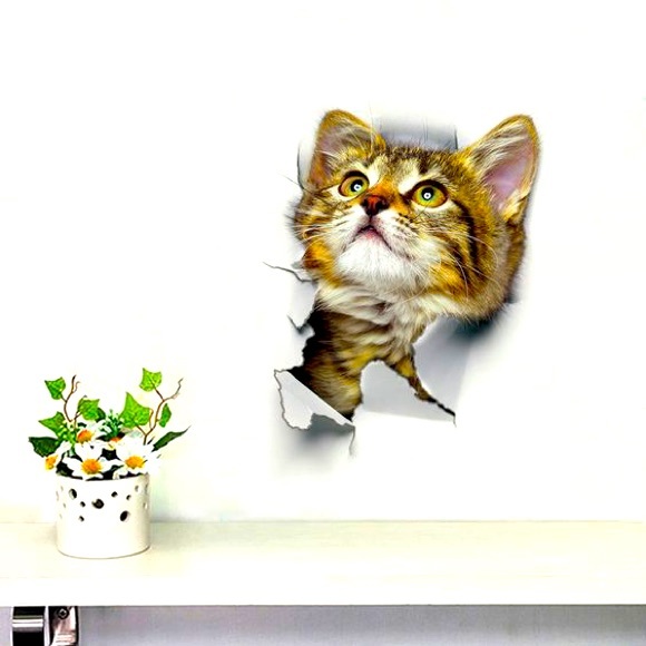 catt Other - 3D Kitten Wall Decal Sticker